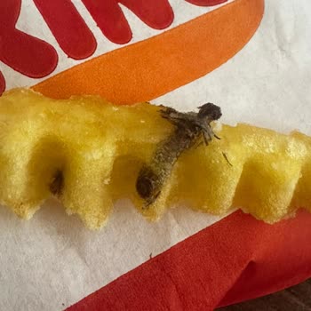 Siparişimden Çıkan Şok Edici Sürpriz