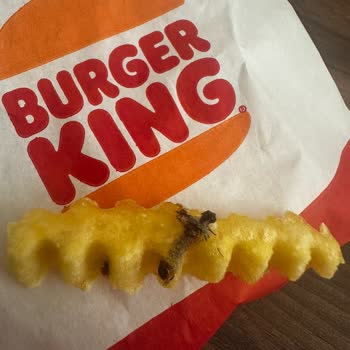 Siparişimden Çıkan Şok Edici Sürpriz