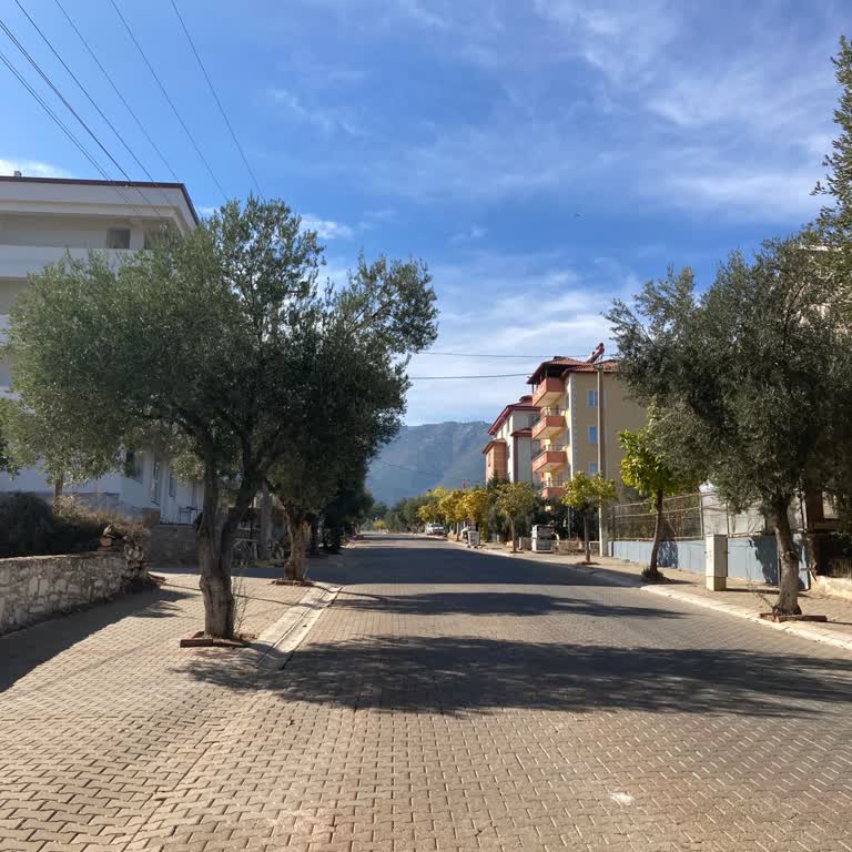 Karacasu Birlik Şikayeti