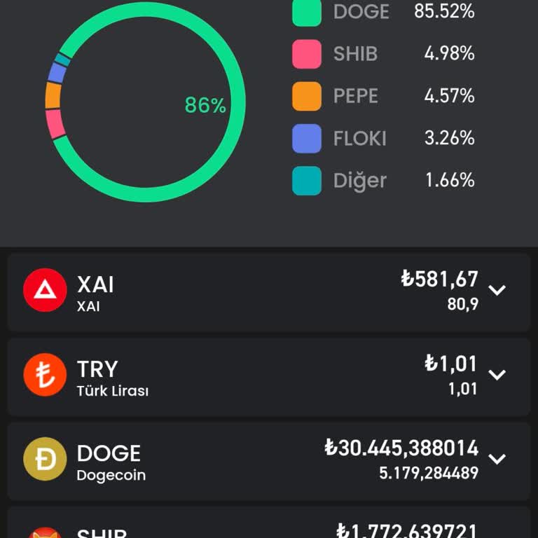 Bitay Borsasında Erişim Ve İşlem Sorunları