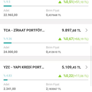 Fon Getirisi Eksikliği Ve Mobil Bankacılık Sorunu