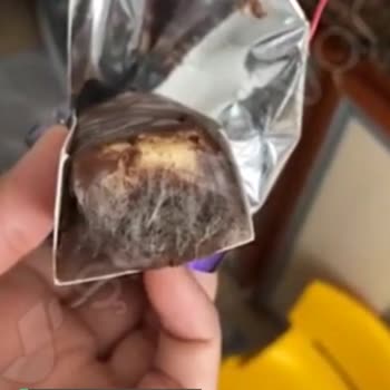 Ülker Alpella Küflü Rulo Kek