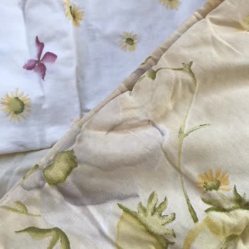 Renk Değişimi Ve İletişim Sorunu