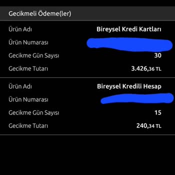 Kredi Kartı Borcunda Hatalı Gecikme Ve Yanlış Hesaplama Sorunu