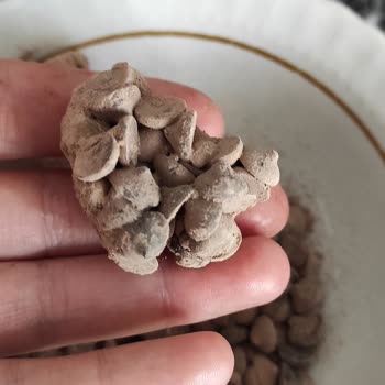 Marketten Aldığım Çikolatanın Kalitesi Beklentilerimi Karşılamadı