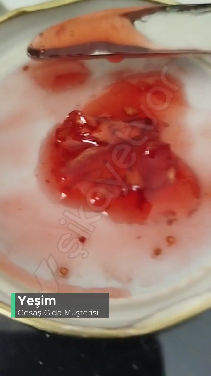 Gesaş Çilek Reçelinden Şikayetçiyim! videonun kapak resmi