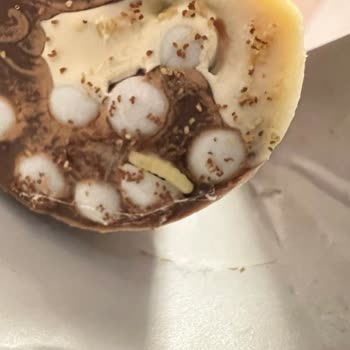 Ozmo Kornet Ürününden Çıkan Canlı Kurtlar: Çocuğumun Sağlığı Tehlikedeydi!