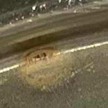 Fakir Ev Aletleri Paslanan Çay Makinesi Ve Yetersiz Müşteri Hizmeti