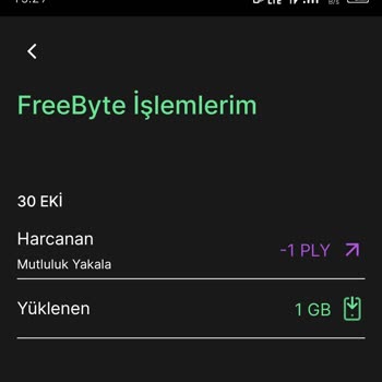 Kim GB İster Kazandığım GB'ler Hattıma Yüklenmiyor: Uygulama Sorunu!