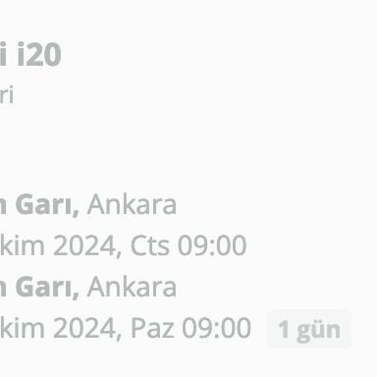 Enuygun Windy Car Fahrzeugabholung in Ankara ohne Information über Kreditwürdigkeit