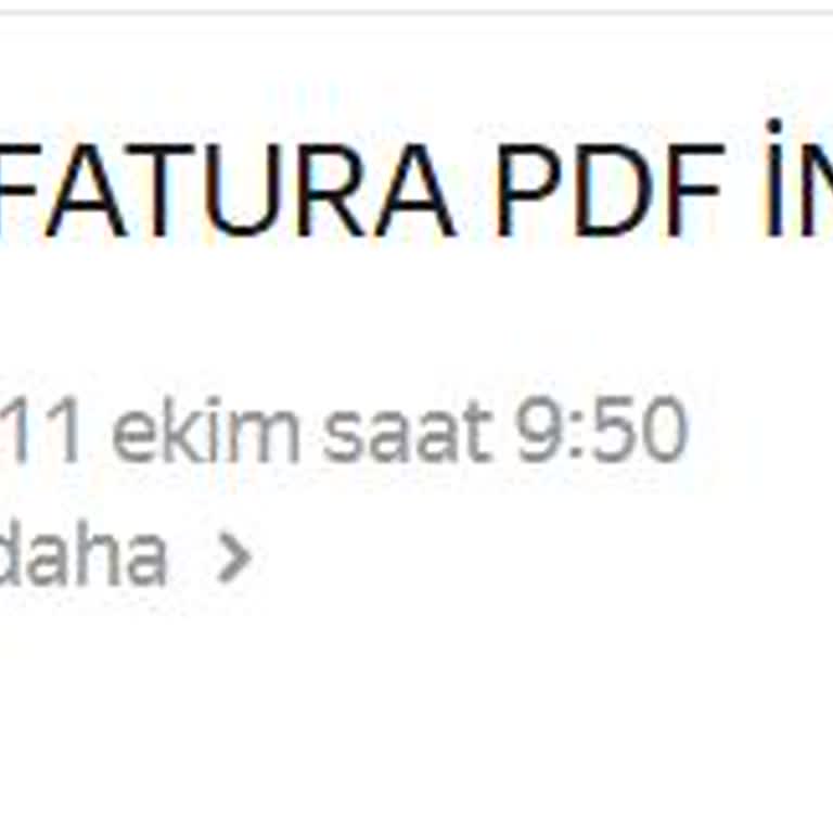 Edm Bilişim İle Anlaşma Koşulları Ve Destek Sorunları