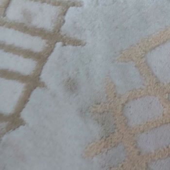 Halı Yıkama Hizmetinde Hayal Kırıklığı: Yırtık Ve Lekeli Teslimat