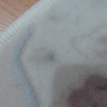 Halı Yıkama Hizmetinde Hayal Kırıklığı: Yırtık Ve Lekeli Teslimat