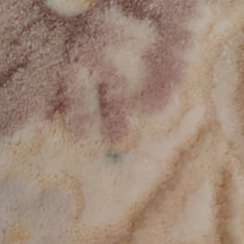 Halı Yıkama Hizmetinde Hayal Kırıklığı: Yırtık Ve Lekeli Teslimat