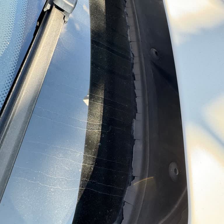 BMW 320d Ön Cam Fitili Çürüme Sorunu