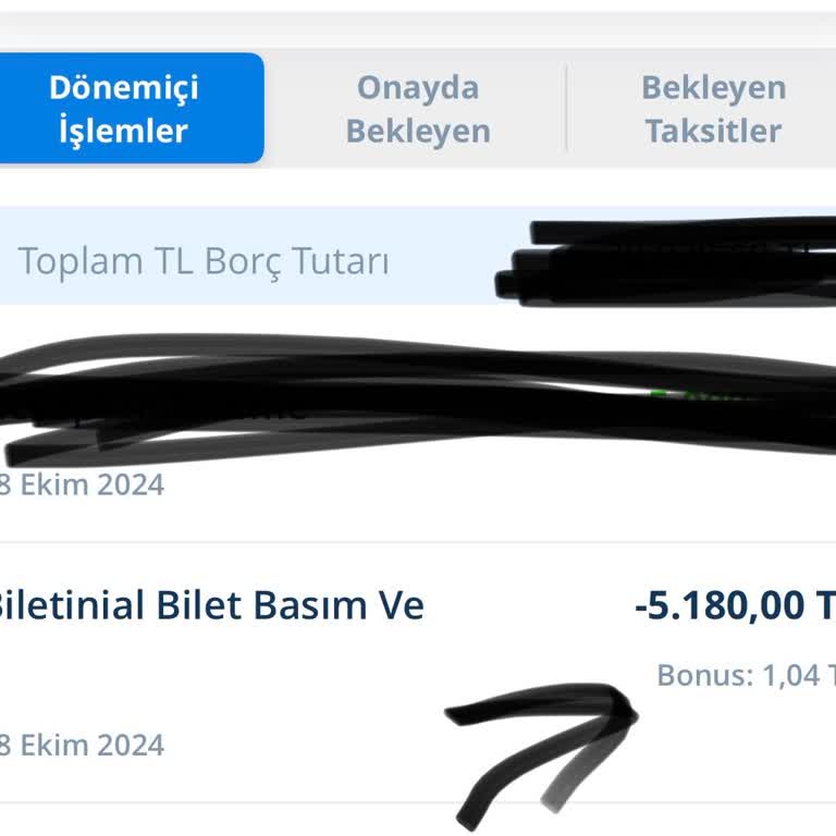 Ödeme Yapıldı, Bilet Kesilmedi: Mağduriyetim Devam Ediyor