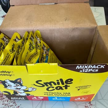 Bozuk Kedi Maması Şoku