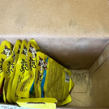 Bozuk Kedi Maması Şoku