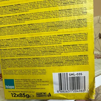 Bozuk Kedi Maması Şoku