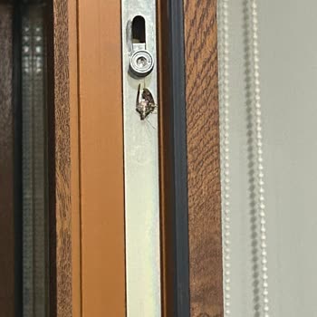 Küf Ve Böceklerle Dolu Otel Kabusu