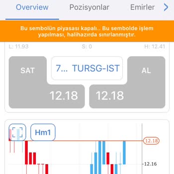 Para İadesi Sürecinde Yaşanan Sorunlar Ve Mağduriyet