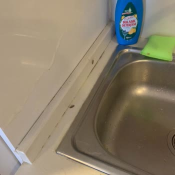 Taraklı Termal'de Böcekli Ve Bakımsız Daire Kabusu