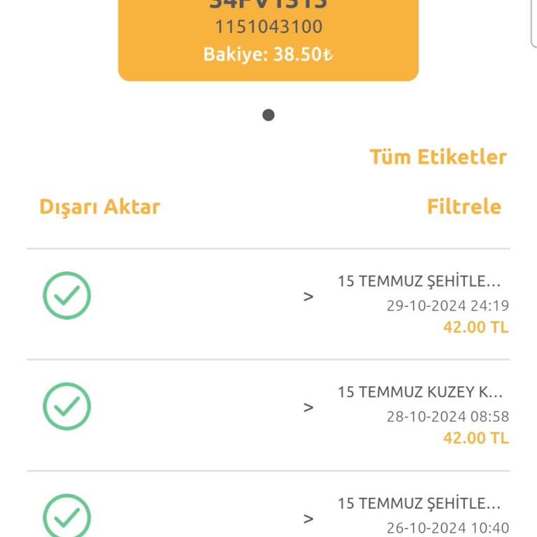 HGS Uygulamasında Erişim Sorunu Ve Müşteri Hizmetleri Çıkmazı