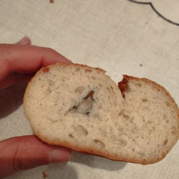 Küflü Ekmek Skandalı: Denetim Eksikliği Şikayeti