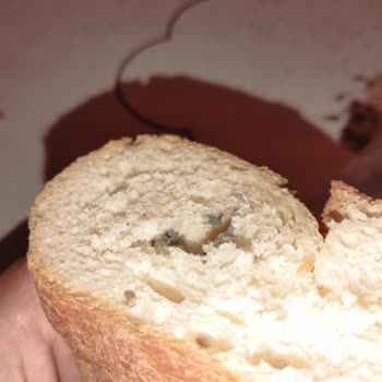 Güzeltepe Şubesinde Küflü Ekmek Şoku