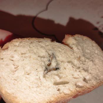 Güzeltepe Şubesinde Küflü Ekmek Şoku