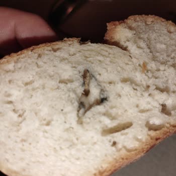 Güzeltepe Şubesinde Küflü Ekmek Şoku