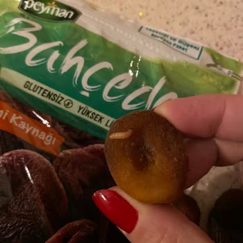 Peyman Gün Kurusu Kayısısından Kurt Şoku!