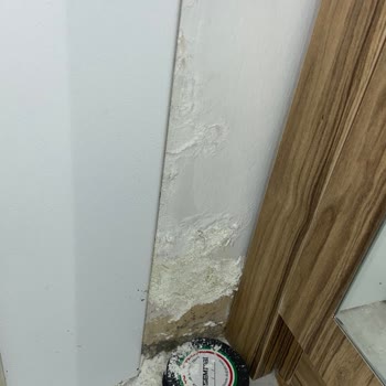 Esenler TOKİ Konutlarında Sürekli Ertelenen Onarımlar Ve İletişim Sorunları