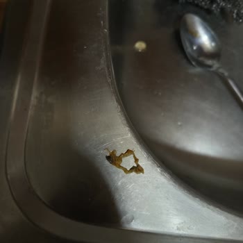 Aro Dondurulmuş Mantıdan Çıkan Şok Edici Sürpriz