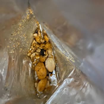 Tadım Ürününde Tehlikeli Yabancı Madde: Diş Kırılmasına Sebep Oldu