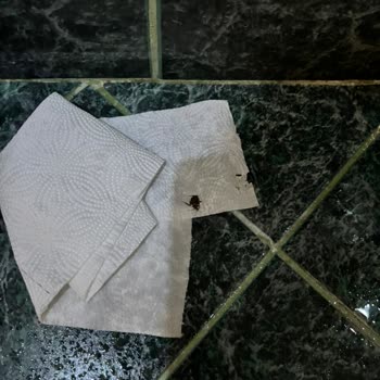 Tur Rezervasyonunda Hayal Kırıklığı