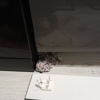 Vestel Ürünlerinde Süregelen Sorunlar