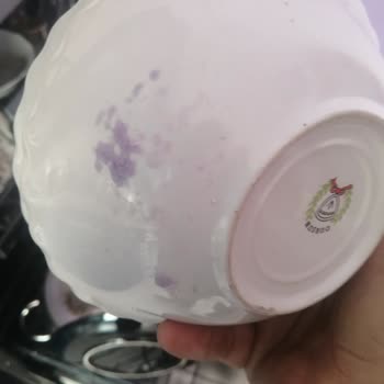 Regal Bulaşık Makinesi Temizlik Sorunu Ve Servis Memnuniyetsizliği