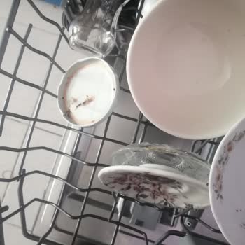 Regal Bulaşık Makinesi Temizlik Sorunu Ve Servis Memnuniyetsizliği