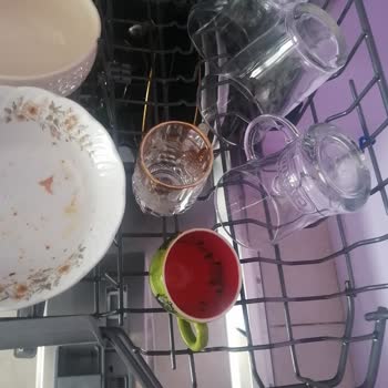 Regal Bulaşık Makinesi Temizlik Sorunu Ve Servis Memnuniyetsizliği