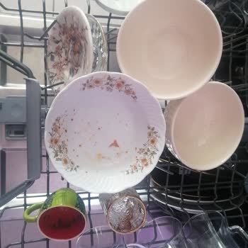 Regal Bulaşık Makinesi Temizlik Sorunu Ve Servis Memnuniyetsizliği