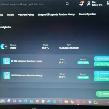 Roypin Hesap Satın Alımında Hayal Kırıklığı Ve Para Kaybı