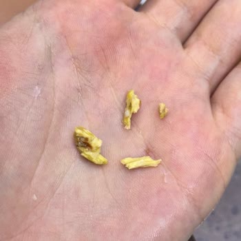 Baklavanın İçinden Çıkan Odun Parçaları Şaşırttı