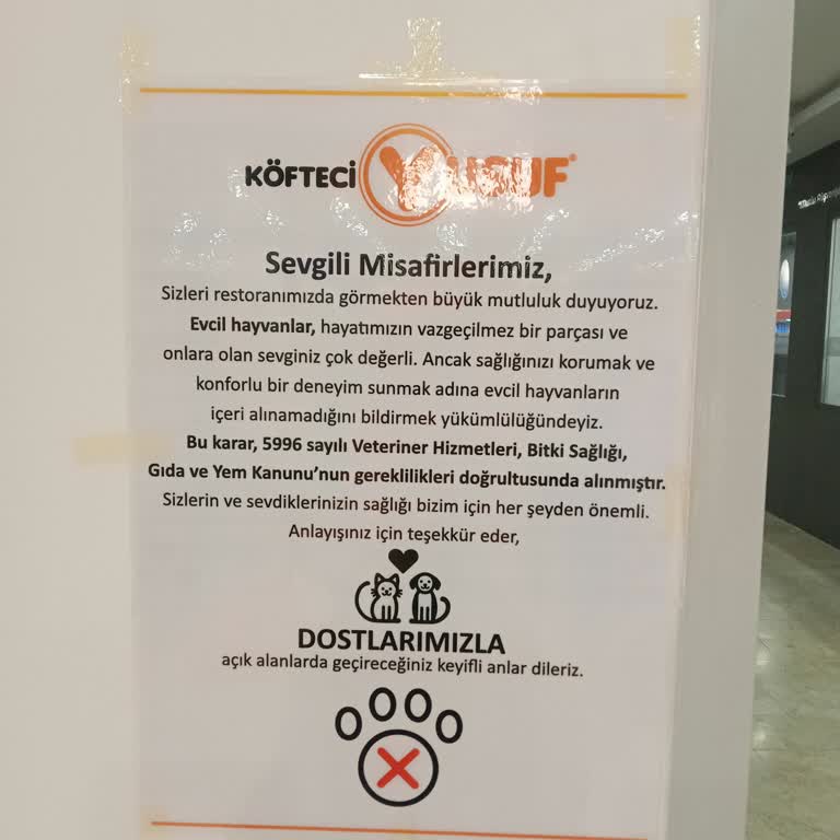 Köfteci Yusuf'ta Kedi Krizi: Müşteri Memnuniyetsizliği
