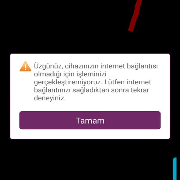Enpara Mobil Bankacılık Erişim Sorunu!