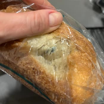 Migros'tan Aldığım Ekmekte Şüpheli Yeşil Renk