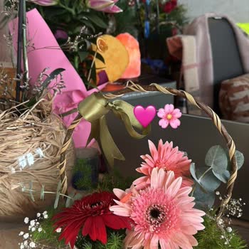 Osevio.com Üç Kez Hayal Kırıklığı: Eksik Ve Kusurlu Çiçekler