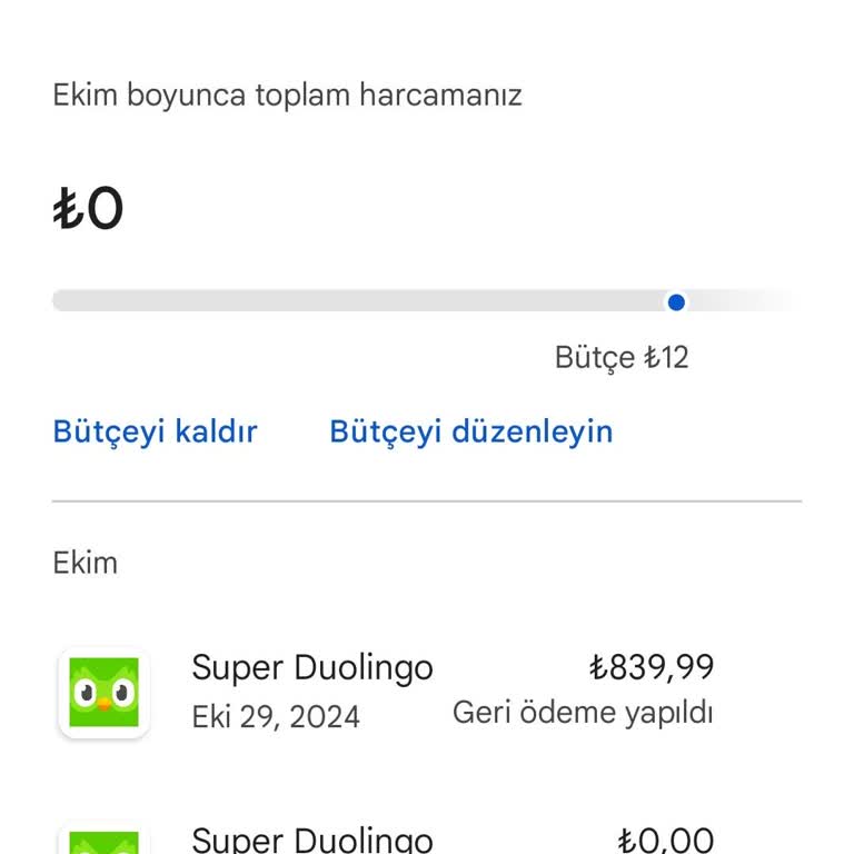 Duolingo Ücretsiz Deneme Süresinin Ardından Habersiz Para Çekimi