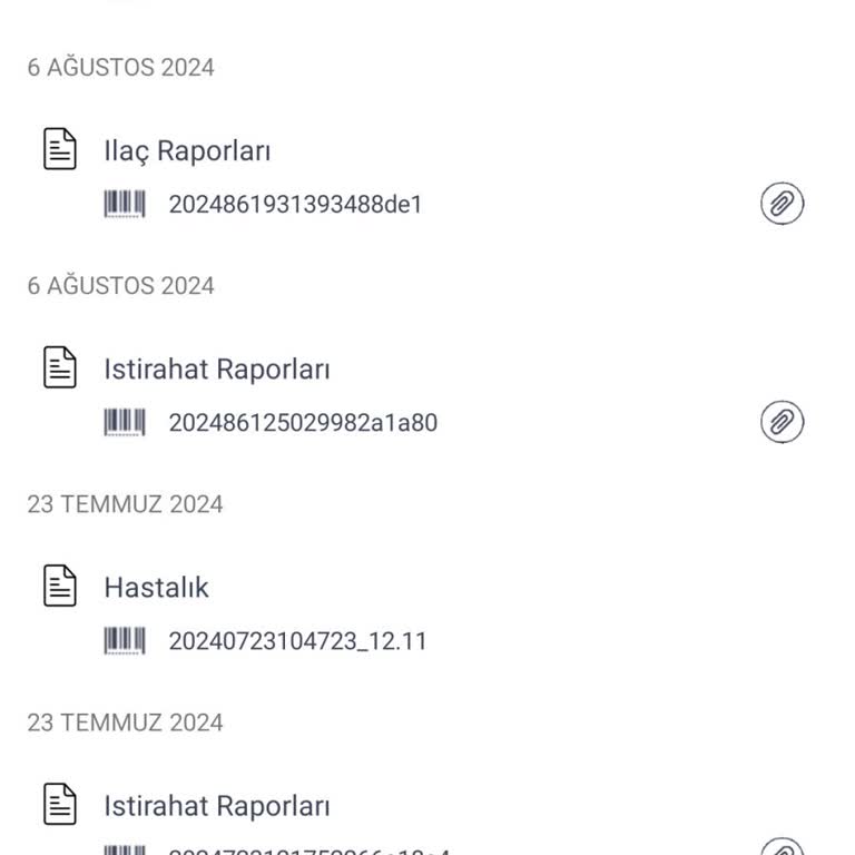E-Nabız Raporu Bekleyişi: İş Yerinde Zor Durumdayım