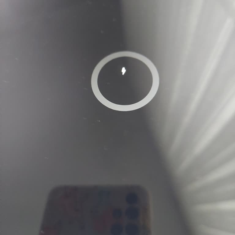 Samsung S6 Lite Tablet Şarj Sorunu Ve Veri Kaygısı